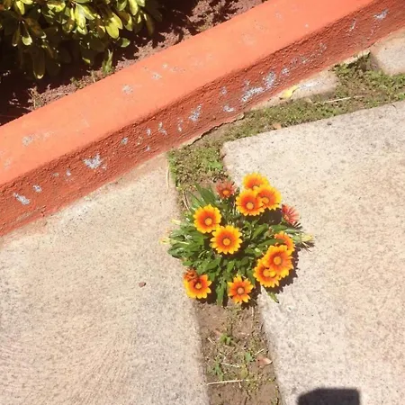 Vinedos By Interhome La Caridad