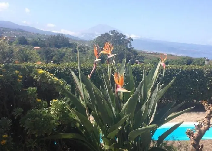 Vinedos By Interhome Dom wakacyjny