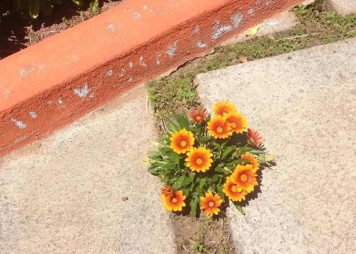 Vinedos By Interhome La Caridad